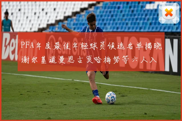 PFA年度最佳年轻球员候选名单揭晓谢尔基道曼恩古莫哈梅努等六人入围